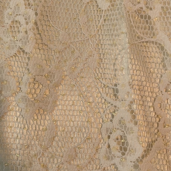 Vintage Denise Fashions Flapper wedding lace formal cream dress 6 - Picture 6 of 13